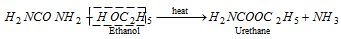 11_chemical properties of urea1.png